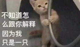 老四在线吃瓜视频网站免费观看,免费畅享热门视频，轻松解锁娱乐新天地